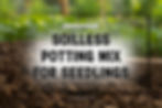 Homemade soilless potting mix for seedlings