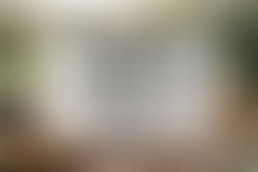 Beginner Raised Garden Bed Setup: A Simple Way to Start Gardening