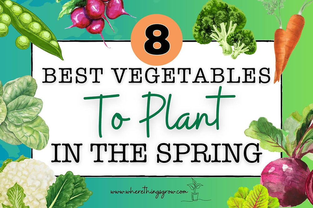Spring Veitables 8 Best Vegetables to Plant in the Spring