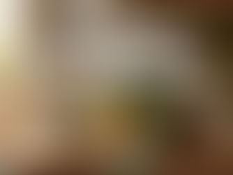 Water Bath Canning Guide for Beginners