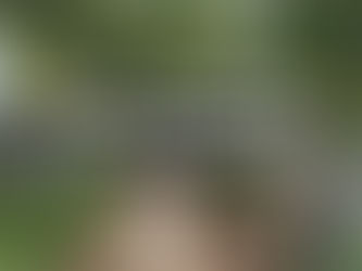 Eco-Friendly Gardening Made Easy by Where Things Grow