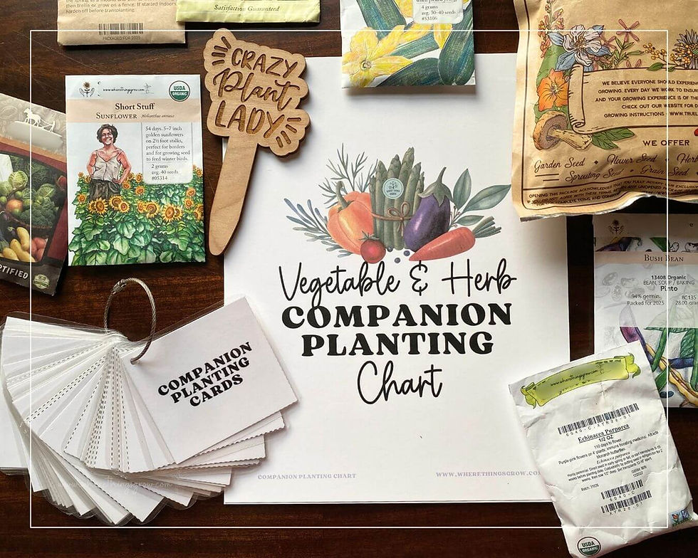 Vegetable & Herb Companion Planting Guide on a. table with seeds, garden markers and flash cards