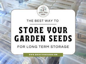The Best Way to Store Your Garden Seeds for Long Term Storage