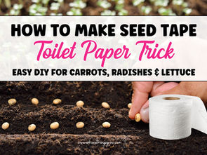 How to Make Seed Tape with Toilet Paper (The 10-Minute Garden Hack)