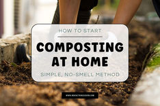 How to Start Composting at Home