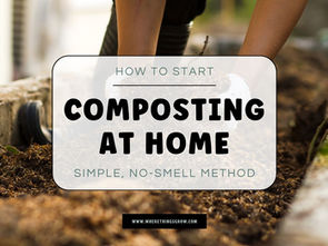 How to Start Composting at Home