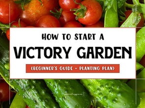 How to Start a Victory Garden (Beginner’s Guide + Planting Plan)