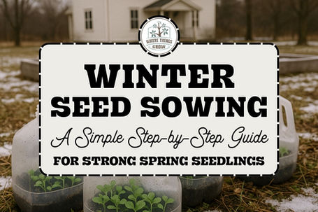 Winter Sowing Seeds: A Simple Step-by-Step Guide for Strong Spring Seedlings