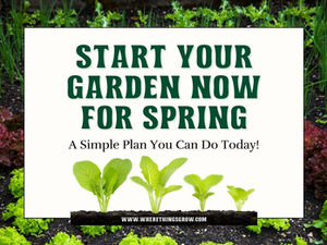 Start Your Garden Now for Spring: A Simple Plan You Can Do Today
