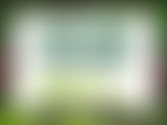 Start Your Garden Now for Spring: A Simple Plan You Can Do Today