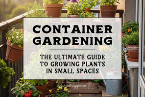 Container Gardening: The Ultimate Guide to Growing Plants in Small Spaces