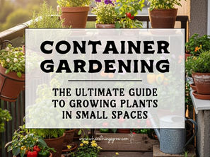 Container Gardening: The Ultimate Guide to Growing Plants in Small Spaces
