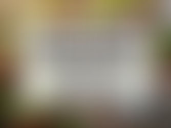 Container Gardening: The Ultimate Guide to Growing Plants in Small Spaces