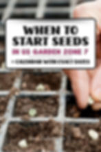 When to Start Seeds in Zone 7 Vegetables (Indoor & Outdoor Guide)