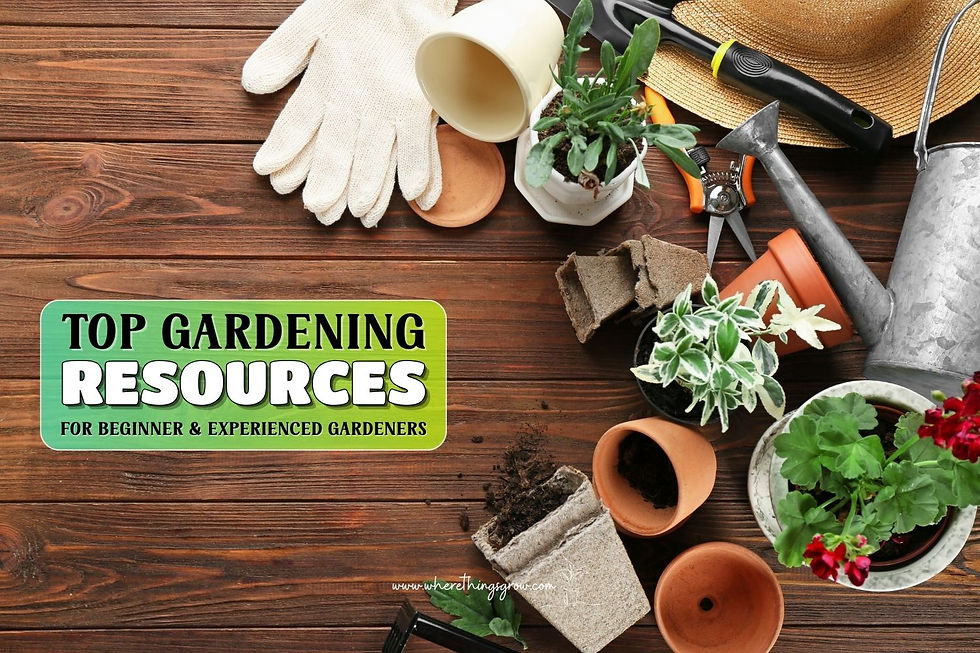 Wooden table with gardening supplies and plants