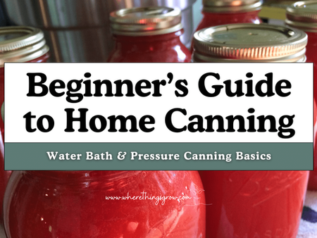Beginner’s Guide to Home Canning with a background of canned tomatoes in quarts