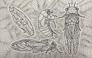 Ologies Inktober - Cicadology