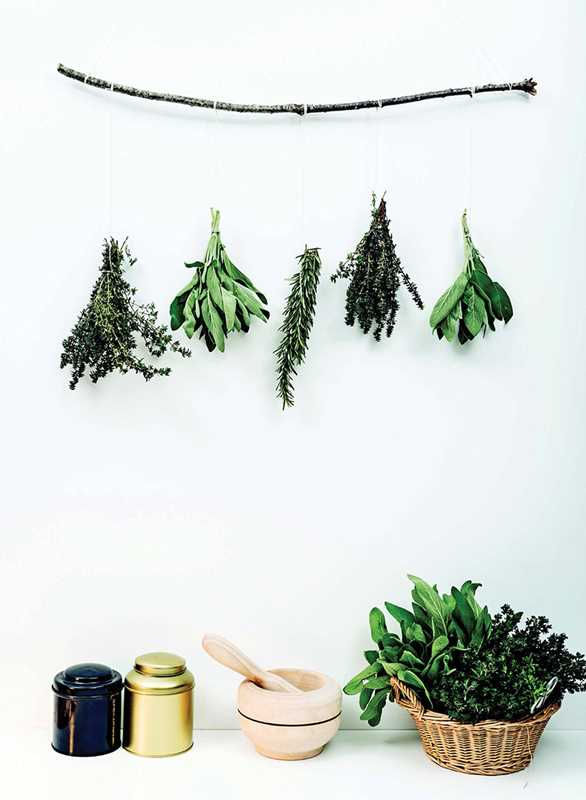 Thumbnail: Diy For Witches By Marine Nina Denis
