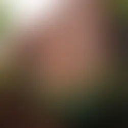 Riverside apartments Brooklyn Heights tour