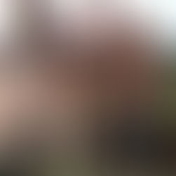 Behr Mansion Brooklyn Heights NYC