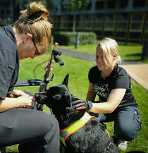 20250719 Personenspürhunde_Schleswig_Holstein (11).jpg