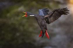 0f7aa03c46e4cccb7572868dec6bc148