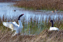 470881275185d97a89966c63b11d5200--lagos-