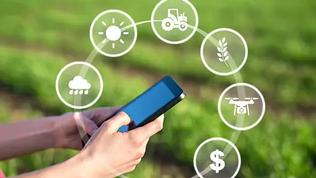 Optimizing Crop Monitoring and Management with Drones in Precision Agriculture