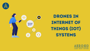 The Integration of Drones in Internet of Things (IoT) Systems
