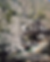 36.png
