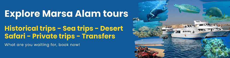 explore marsa alam tours