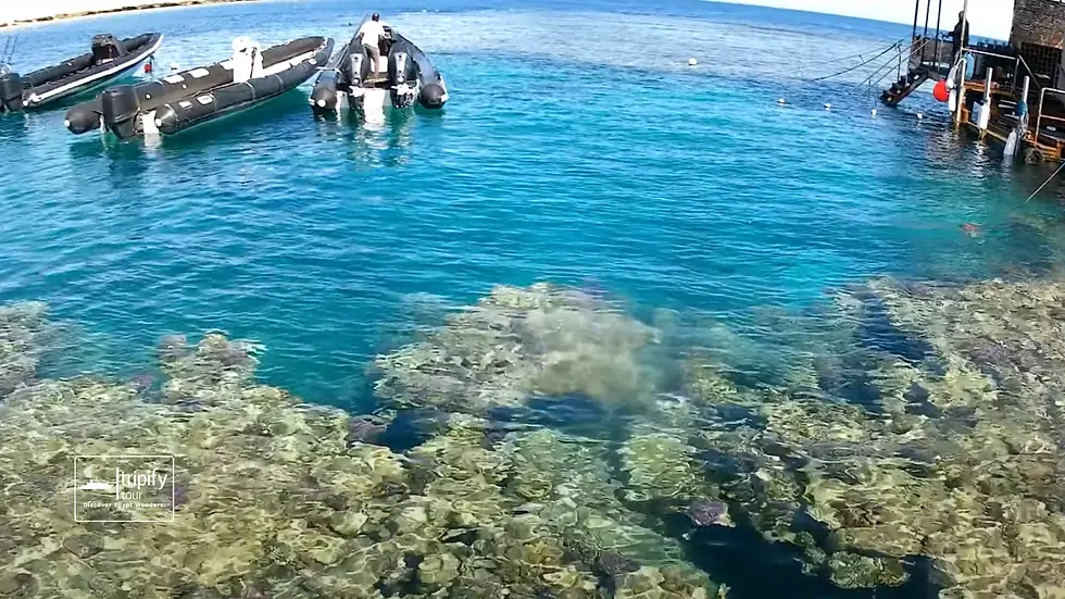 Wide angle view of a coral reef in Marsa Alam