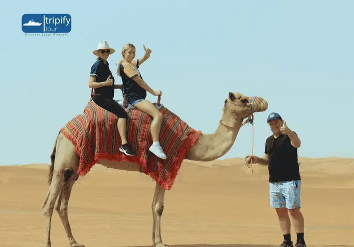 camel riding