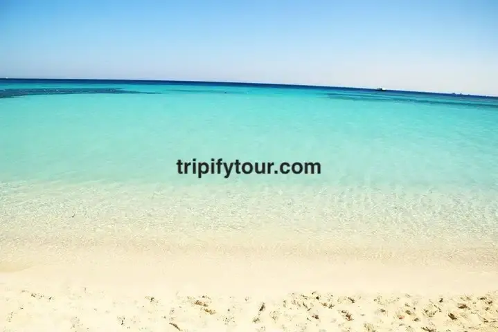 Ras Mohammed and White Island