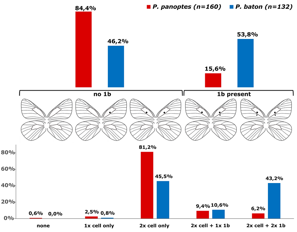 Proportion d'individus présentant des ocelles en 1b chez les deux espèces de Palaeophilotes du sud de la France.