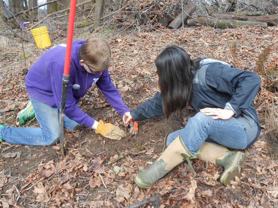 Two people crouch on the ground, planting a small seedling