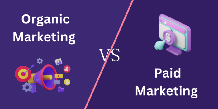 Organic Marketing Vs. Paid Marketing