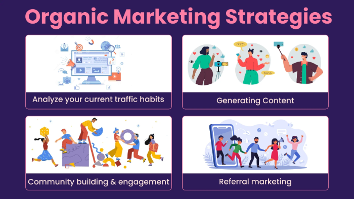 Organic Marketing Strategies