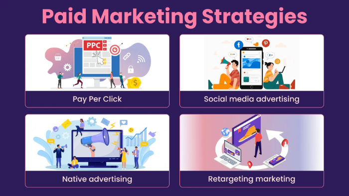 Paid Marketing Strategies