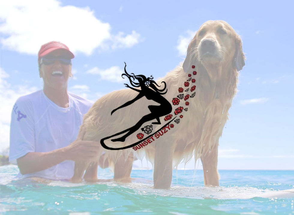 Sunset Suzy Surf School Website Banner