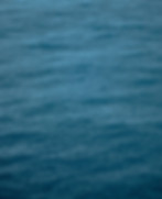 Raindrops on the ocean surface.