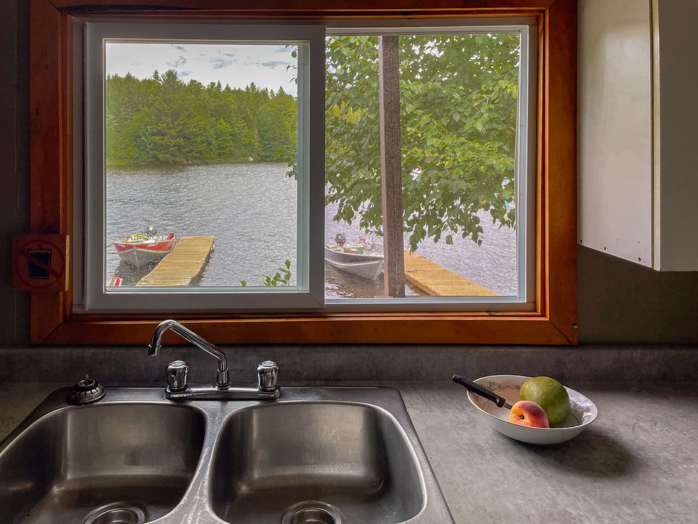 Moose Crossing kitchen sink