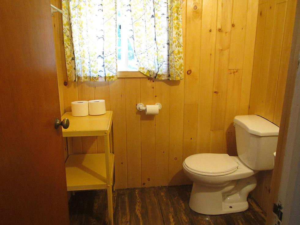 Bathroom toilet, pine clad walls