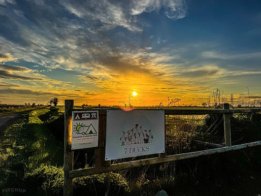 Firepits & Happy Faces at 7 Ducks Caravan and Camping