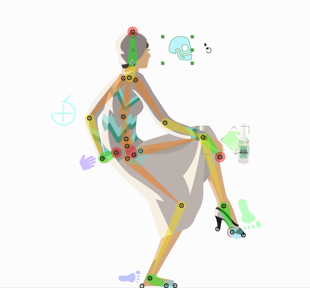 Silva-Rig.gif