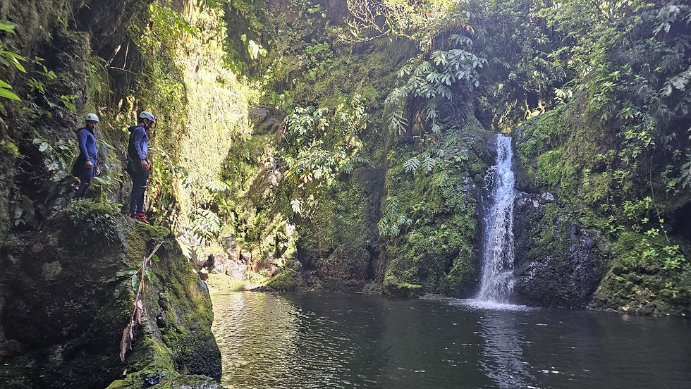 WhatsApp Image 2026-06-23 at 09.50.04 (1).jpeg