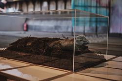 Every Breath You Take, 2020