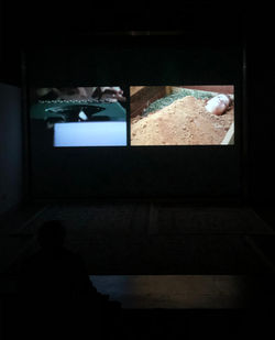 Corpo Brasileiro, Porto 2020