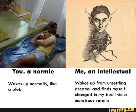 Tradução: você, um normie: acorda normalmente/ eu, um intelectual: acordo de sonhos intranquilos e me encontro na minha cama metamorfoseado em um inseto monstruoso.