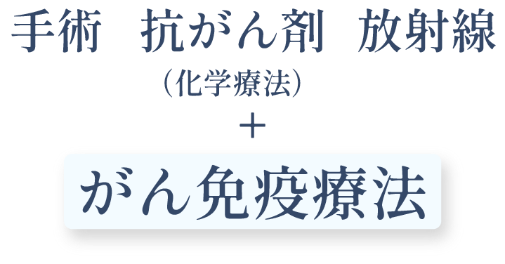 アセット 11.png